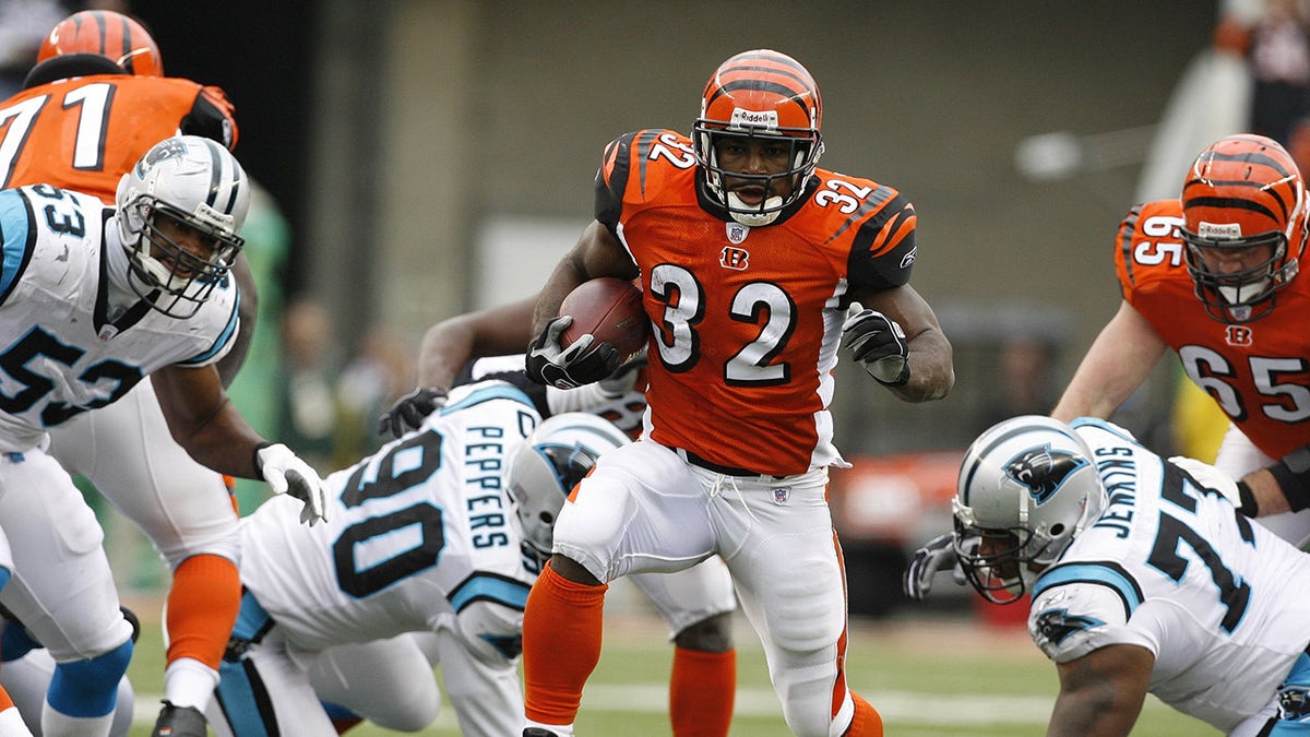 Rudi Johnson vs Panthers