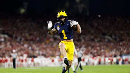 Steelers Roman Wilson Steelers Roman Wilson