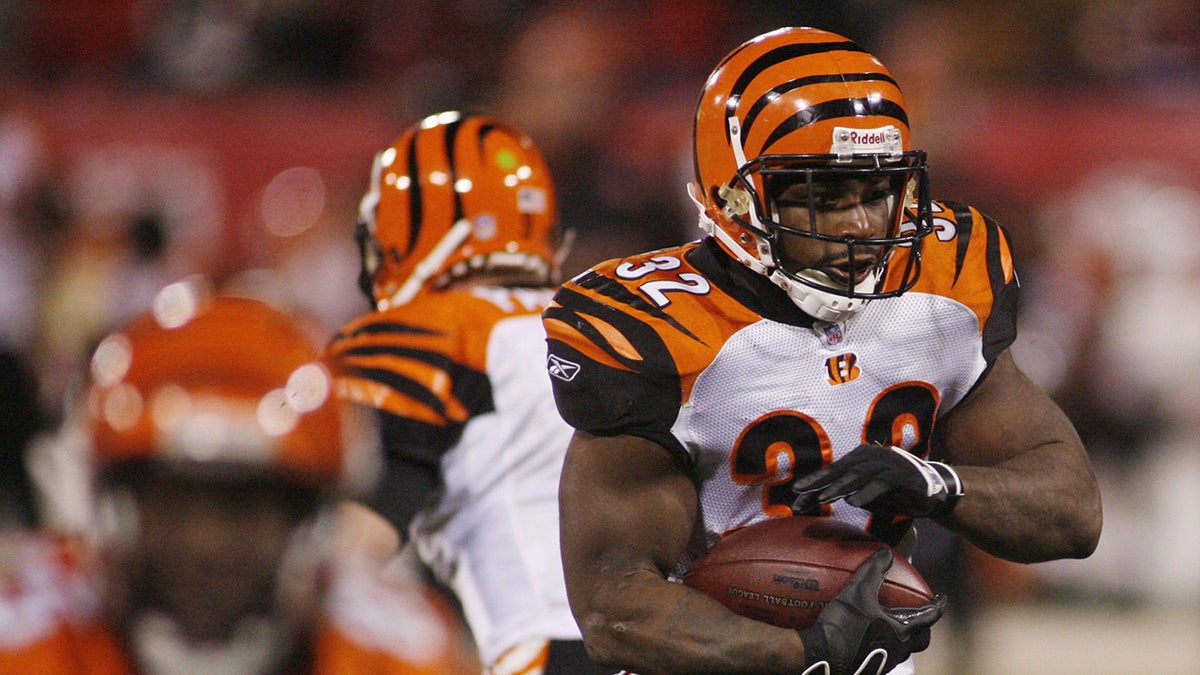 Rudi Johnson carries the football