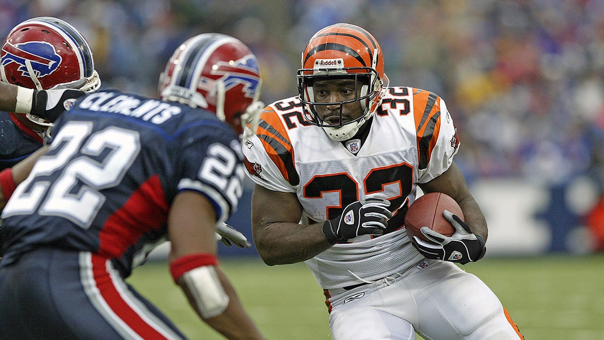 Rudi Johnson runs with the football