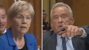 Elizabeth Warren and Robert F. Kennedy Jr. during senate hearing (Credit MSNBC)