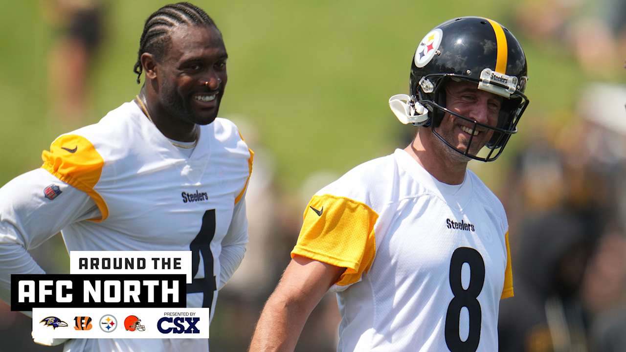 Three Week 1 Questions for Ravens’ AFC North Rivals