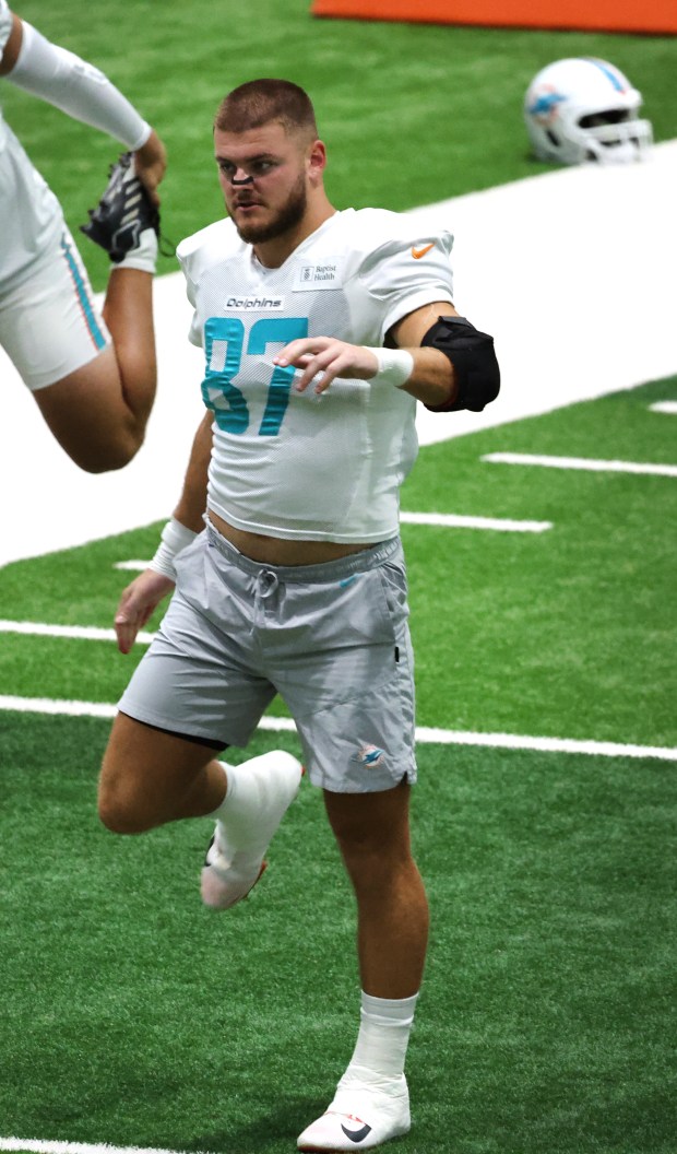 Miami Dolphins tight end Hayden Rucci during practice at the...