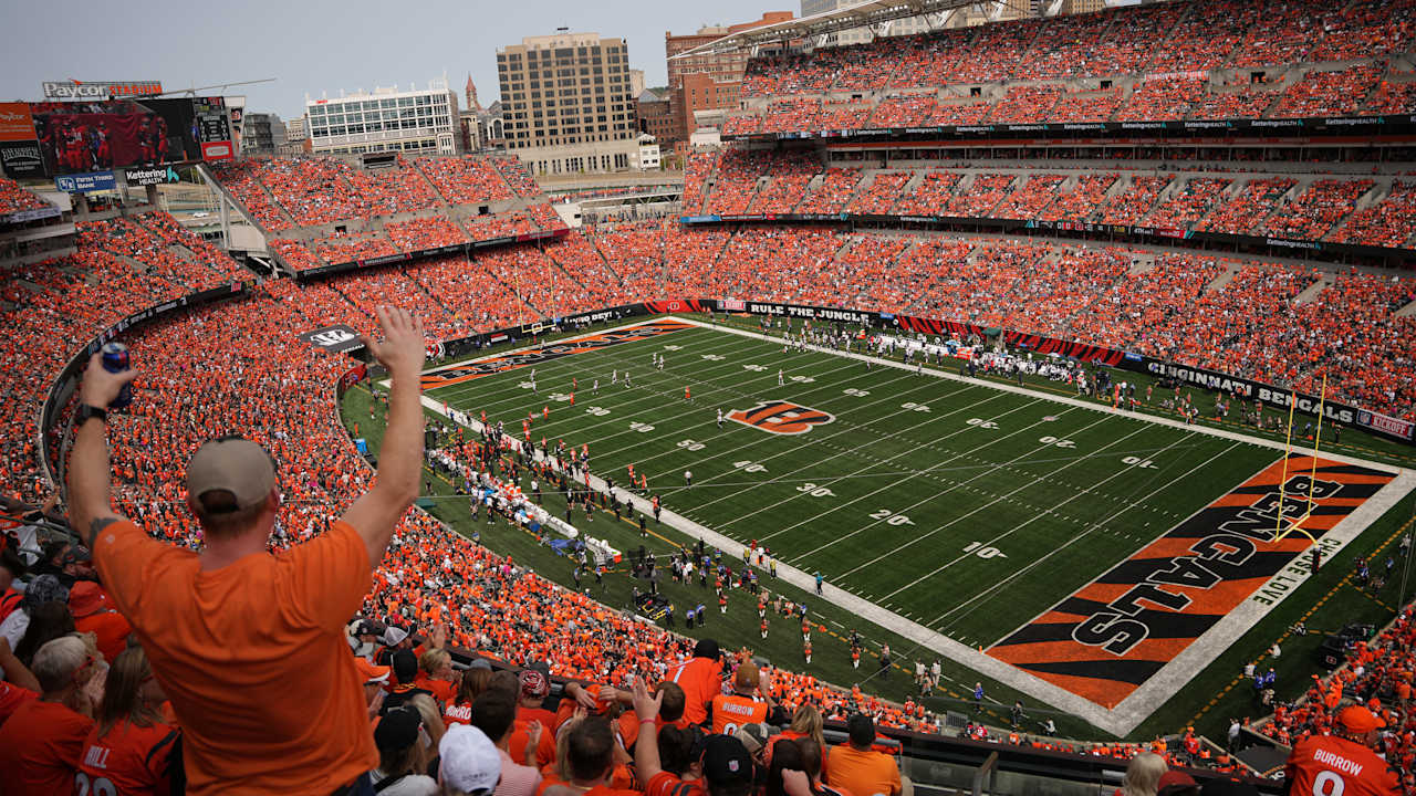 The Jungle Awakens This Sunday for Open in Orange