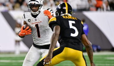 Stars and Skulls Grades from Steelers-Bengals