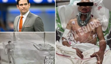 Mark Sanchez's ex teammates stunned by Indy assault charges against 'nice guy' Jets quarterback