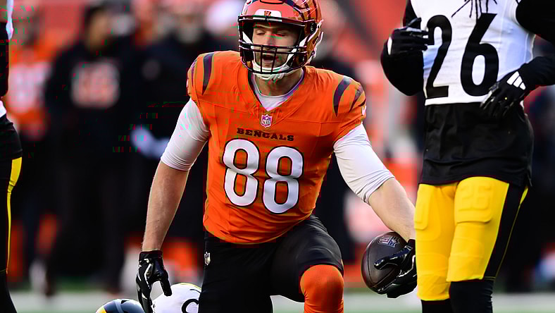Pittsburgh Steelers Cincinnati Bengals TE Mike Gesicki
