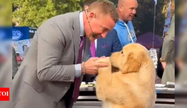 Fans can't get enough of Peter, Kirk Herbstreit’s adorable golden retriever, who stole smiles and hearts at Rams vs. 49ers | NFL News