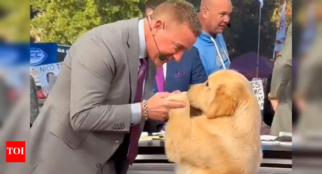 Fans can't get enough of Peter, Kirk Herbstreit’s adorable golden retriever, who stole smiles and hearts at Rams vs. 49ers | NFL News