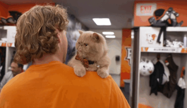 Pudge, Bowling Green's unlikely new football mascot, is attracting a legion of fans