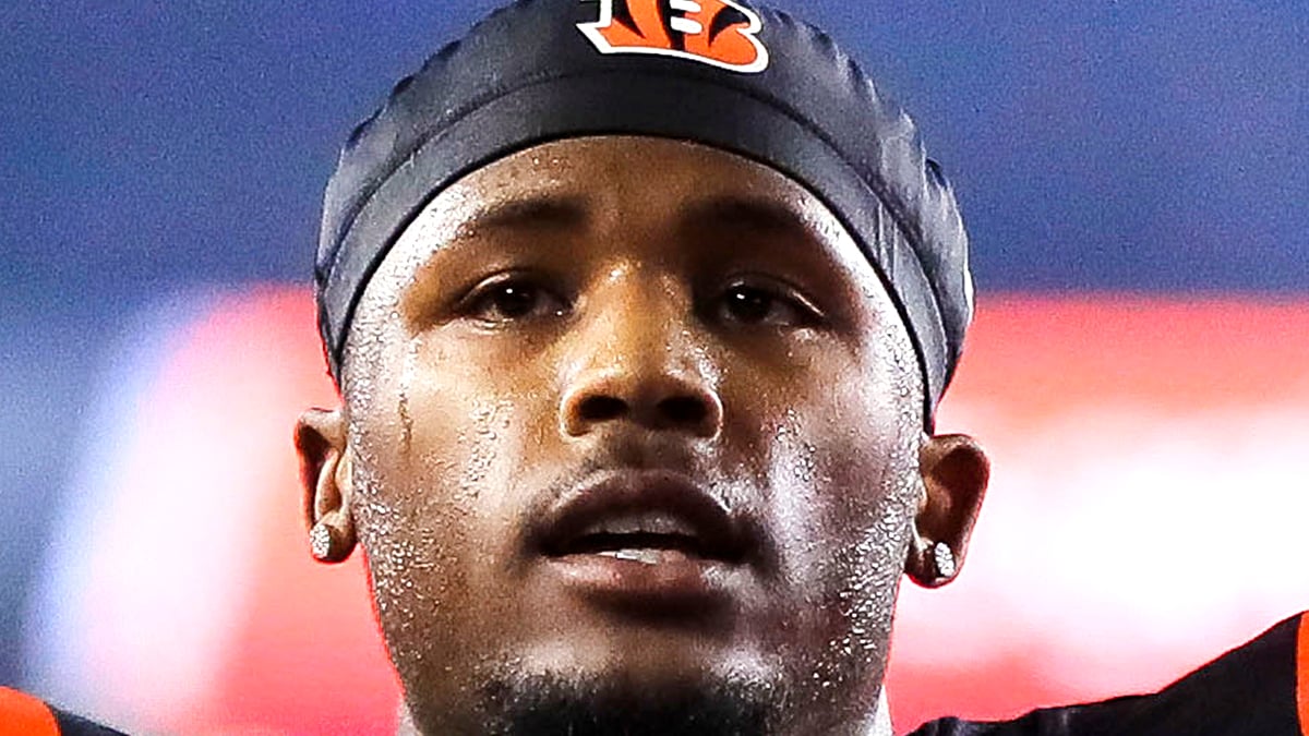 Tee Higgins Headshot