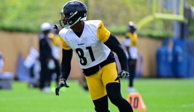 Steelers TE Jonnu Smith Receives League Award