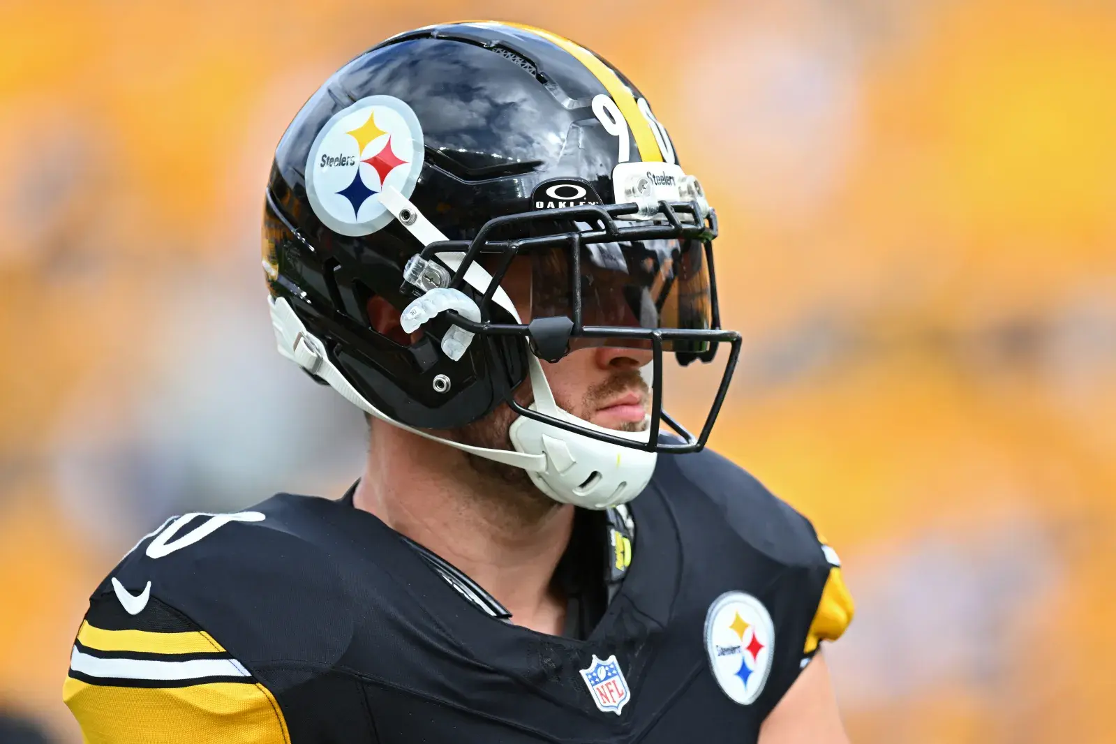 T.J. Watt, Pittsburgh Steelers