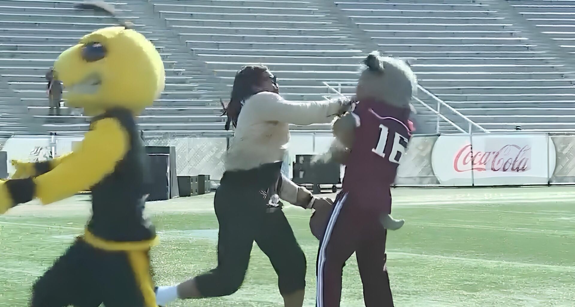 Cam Newton throws punch and gets into brawl with Alabama A&M mascot on ESPN’s First Take