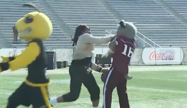 Cam Newton throws punch and gets into brawl with Alabama A&M mascot on ESPN’s First Take