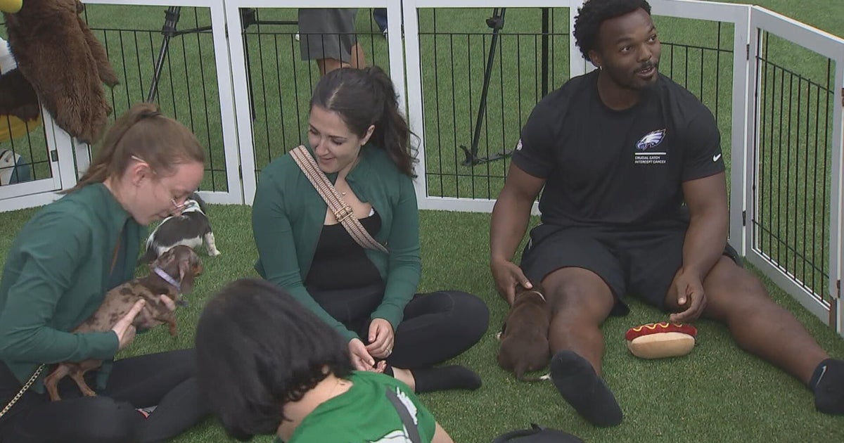 Philadelphia Eagles host puppy yoga event to spotlight cancer awareness