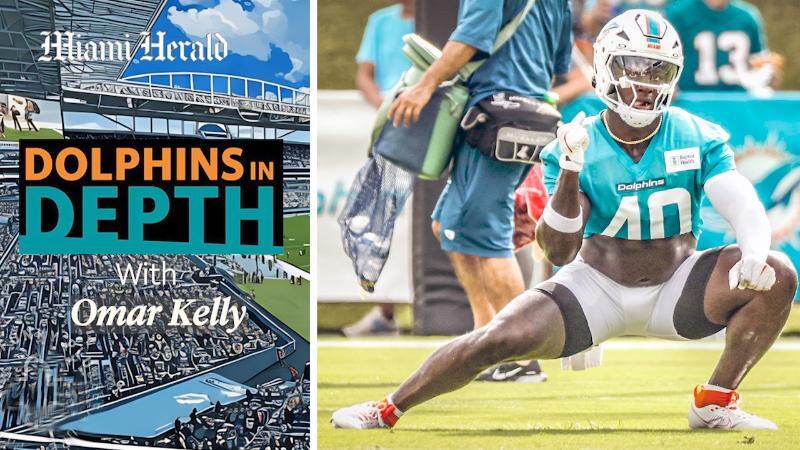 Kelly: Dolphins auditioning new linebackers for starting role | Opinion