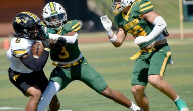 Lions fall short in comeback effort against Tigers | Local Sports