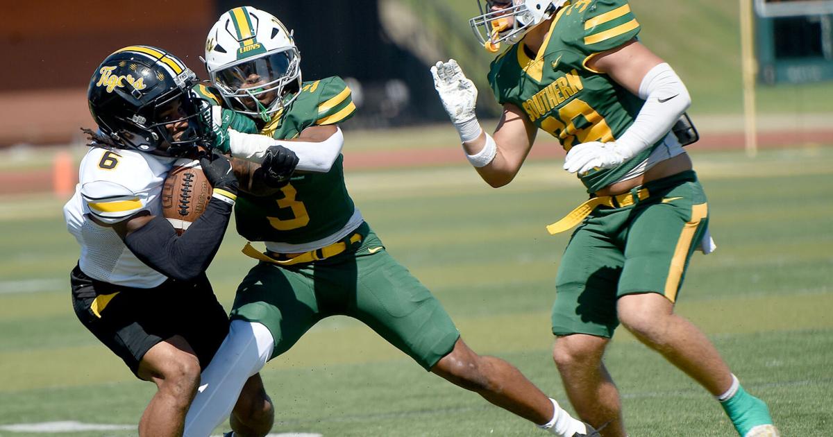 Lions fall short in comeback effort against Tigers | Local Sports