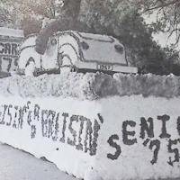 Corning Cardinals do homecoming with Disney theme | Corning Observer