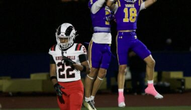 Eagles beat up injury-riddled Rams | Sports