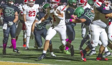 Lions use big first half to defeat Vikings, secure playoff seed | Sports