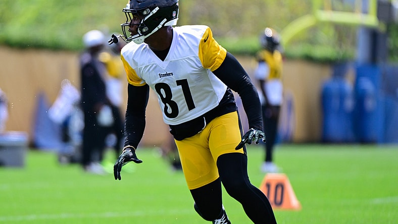 Pittsburgh Steelers TE Jonnu Smith