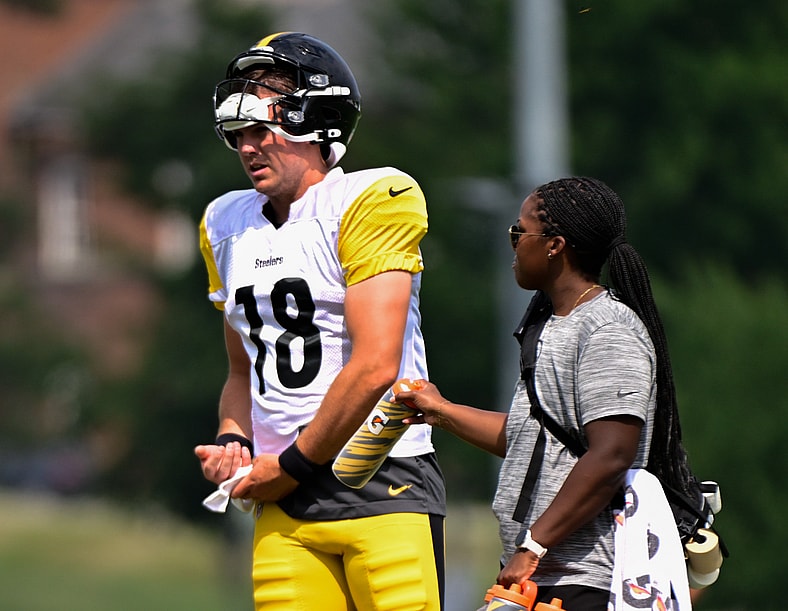 Steelers quarterback Will Howard