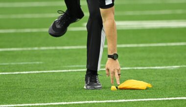 Arizona Cardinals LB Akeem Davis-Gaither fined for hip-drop tackle