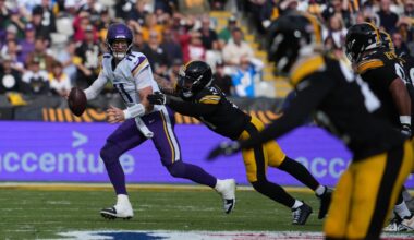 Grading the Steelers defensive positional units during the bye week