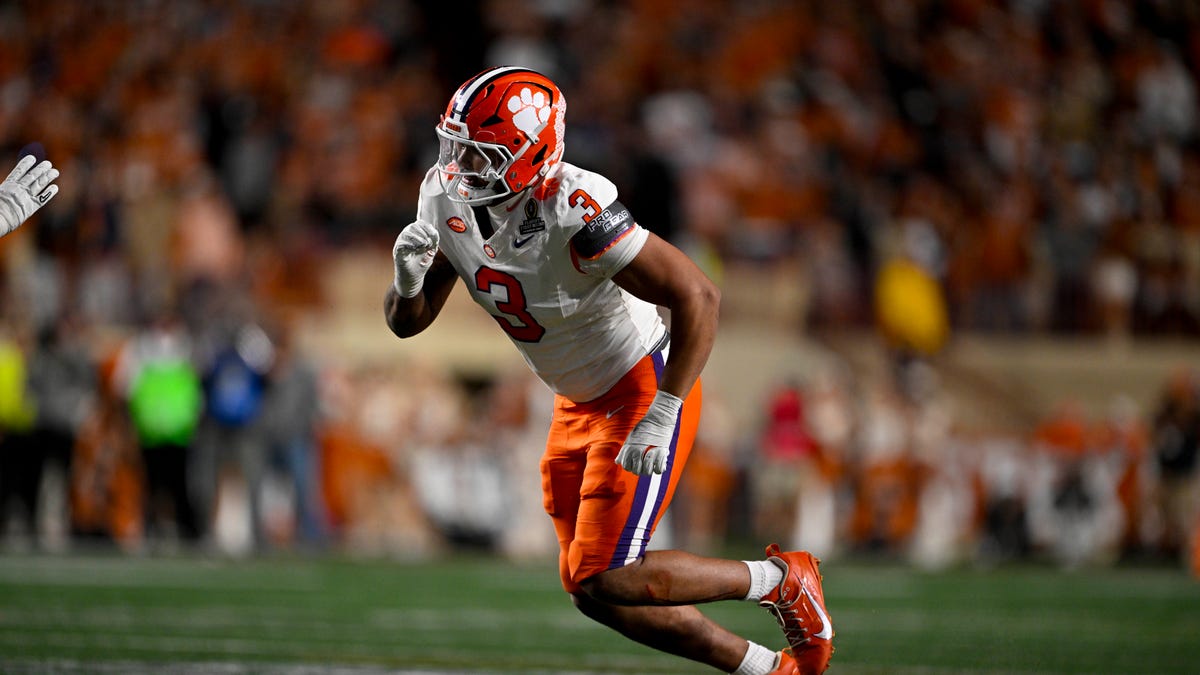 Clemson Tigers DE T.J. Parker