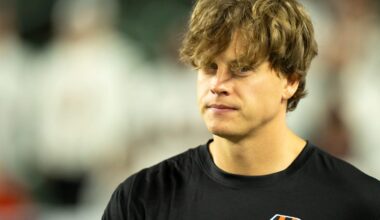 Bengals QB Joe Burrow on track for mid-December return per NFL Network