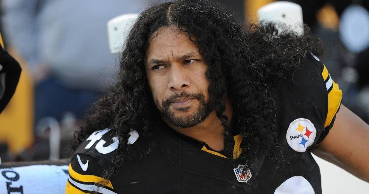 Troy Polamalu Net Worth 2025: How Much Money Does He Make?