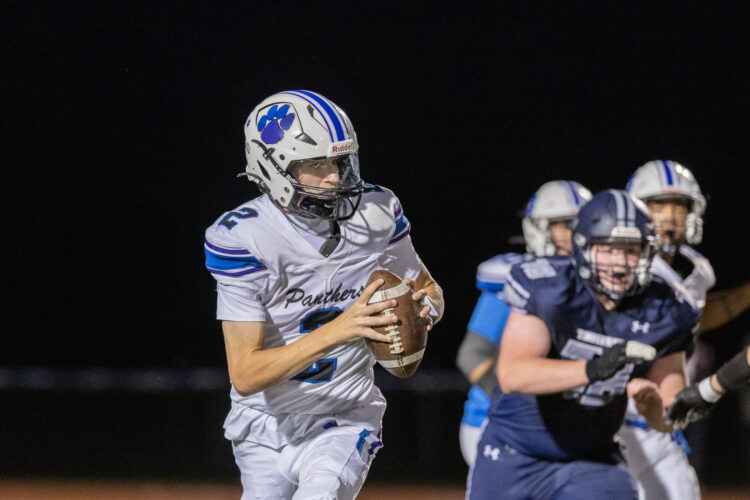 Capozzi leads Panthers past T’wolves | News, Sports, Jobs