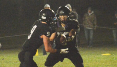 Jaguars win in regular season finale | News, Sports, Jobs