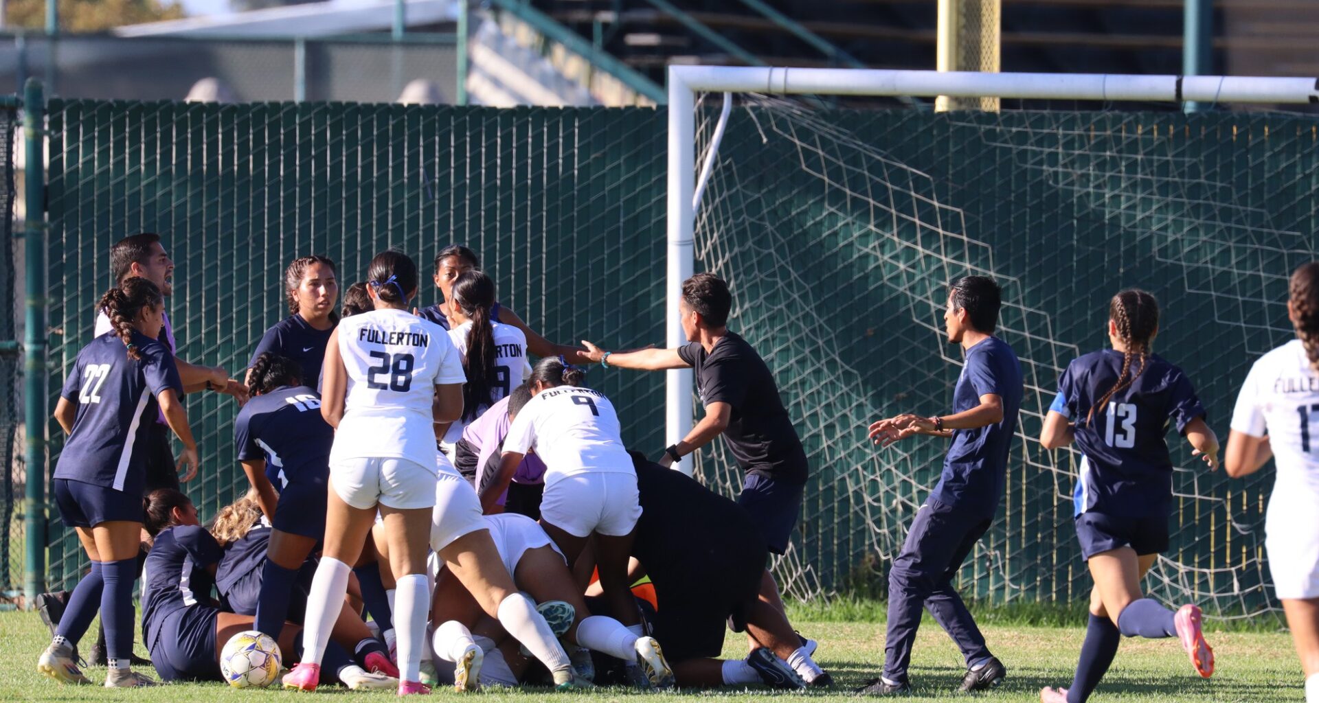 Fists fly as Falcons beat the Hornets