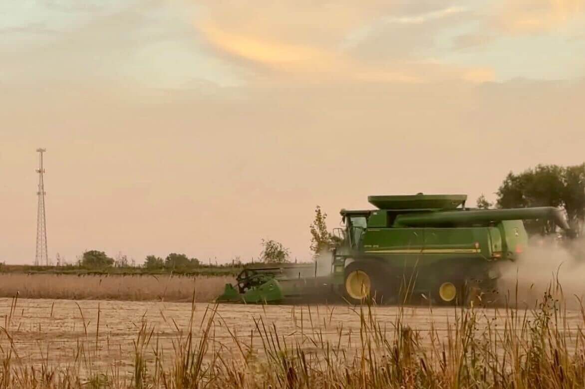 A green John Deere combine works the crops along the side of the road on the way from Iowa City to Madison.
