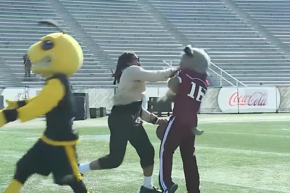 Cam Newton throws punch at AAMU Bulldog mascot