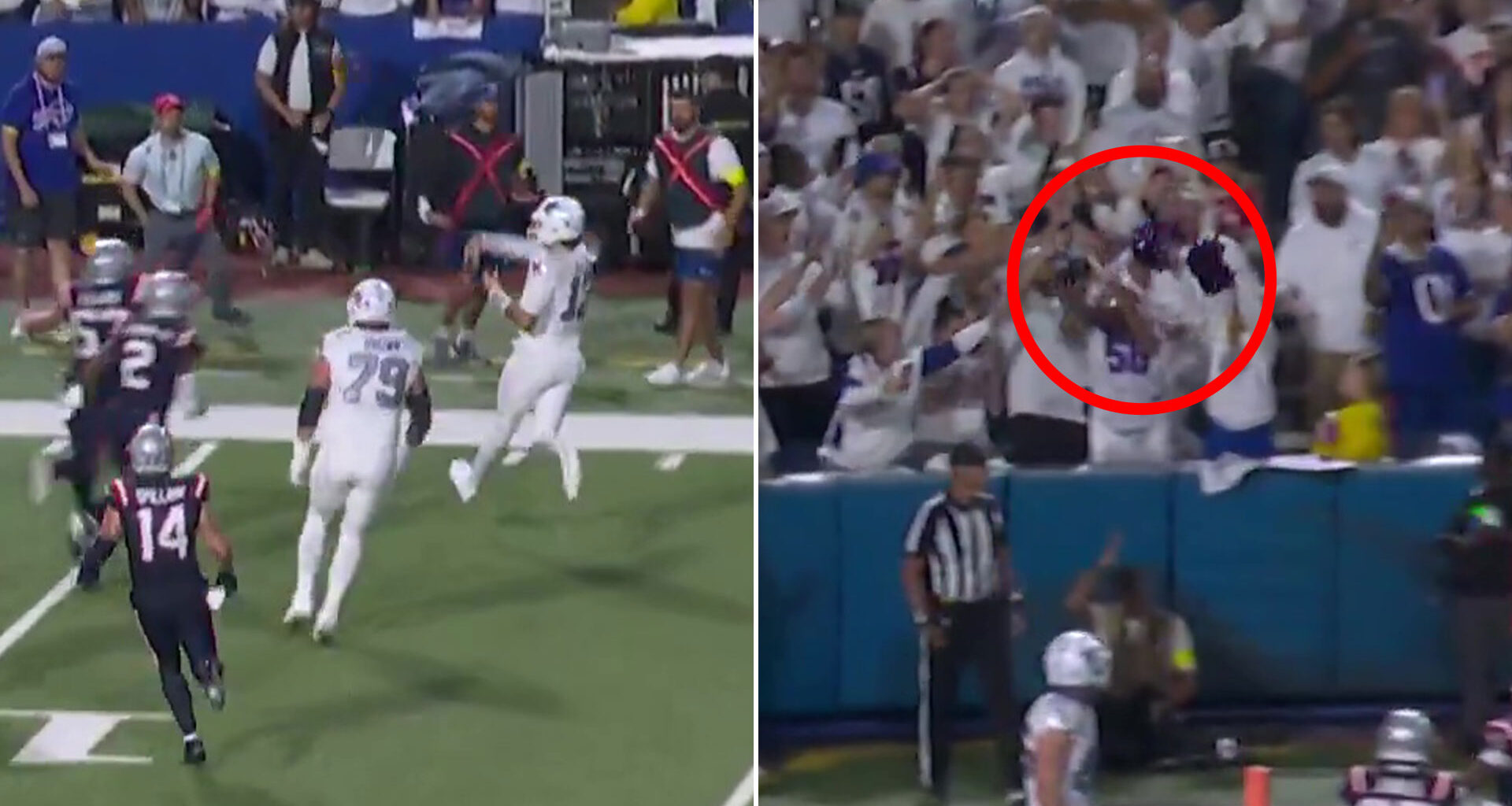Buffalo Bills fan has bizarre reaction to catching stray ball from Josh Allen - 'maybe he doesn't want to be on TV'