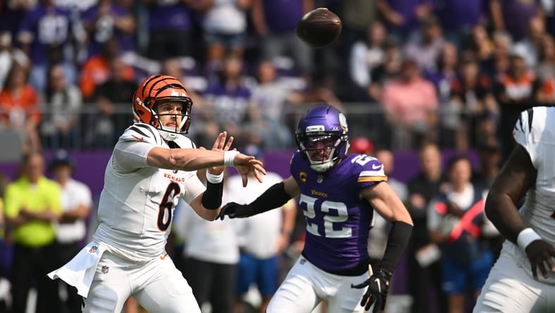 Harrison Smith, Minnesota Vikings