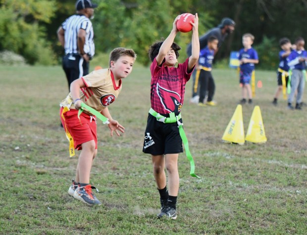 Cardinals Doug DiSandro makes a superb catch in front of...