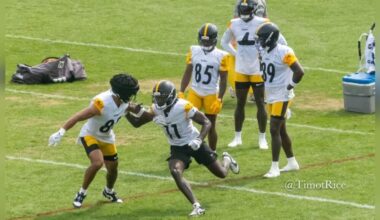 Steelers Take Look At Four Free Agents, Including Former WR Brandon Johnson