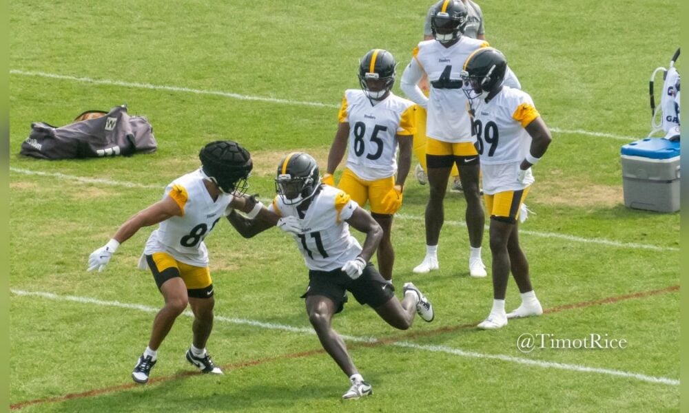 Steelers Take Look At Four Free Agents, Including Former WR Brandon Johnson
