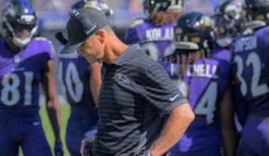 Like Dems, Baltimore sports fans singing the blues.