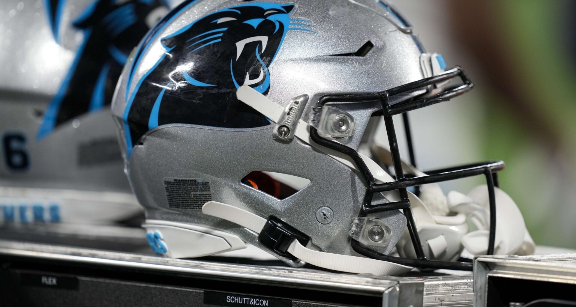 Panthers replace quarterback