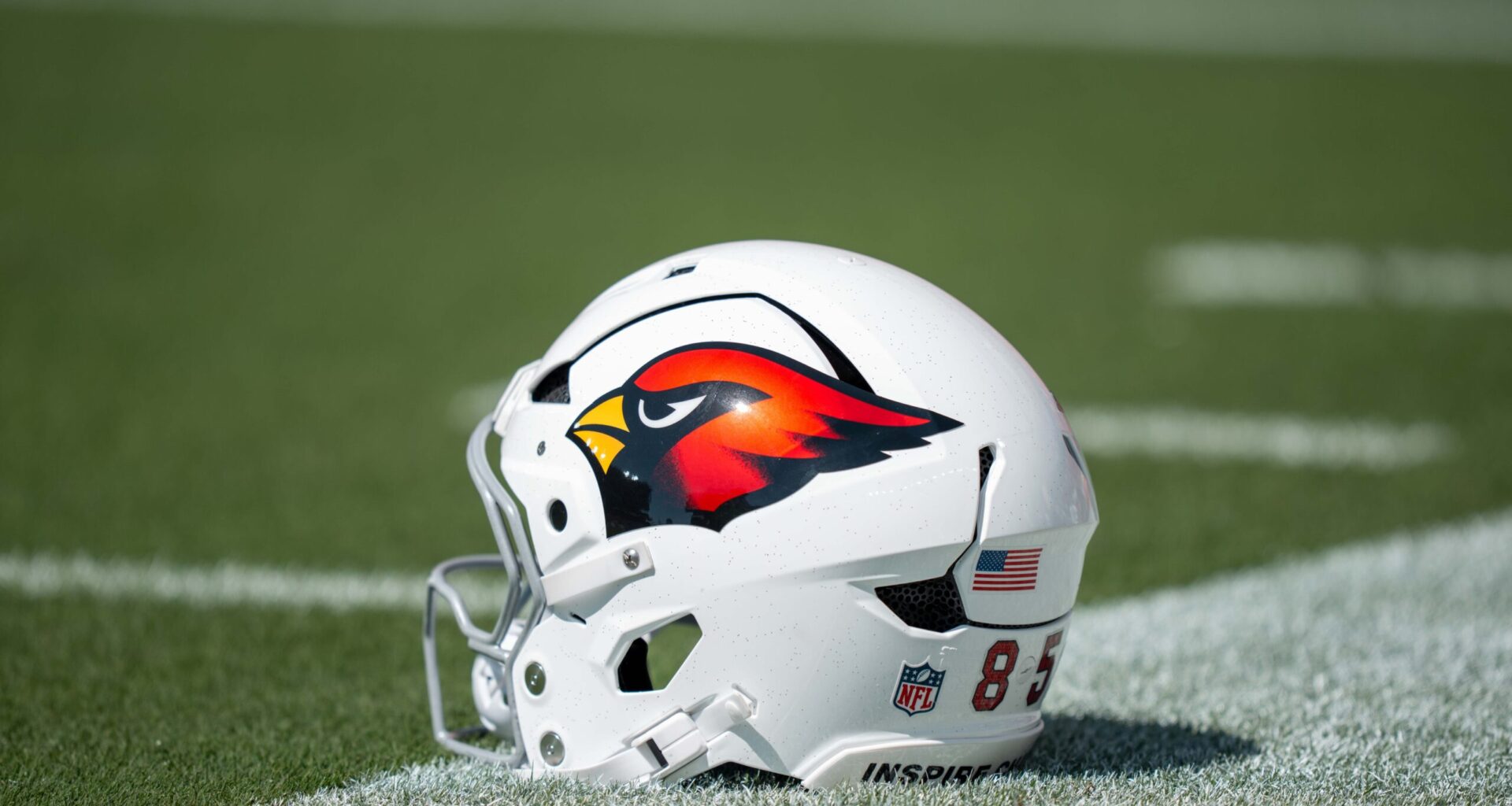 Cardinals Worked Out Nine Players