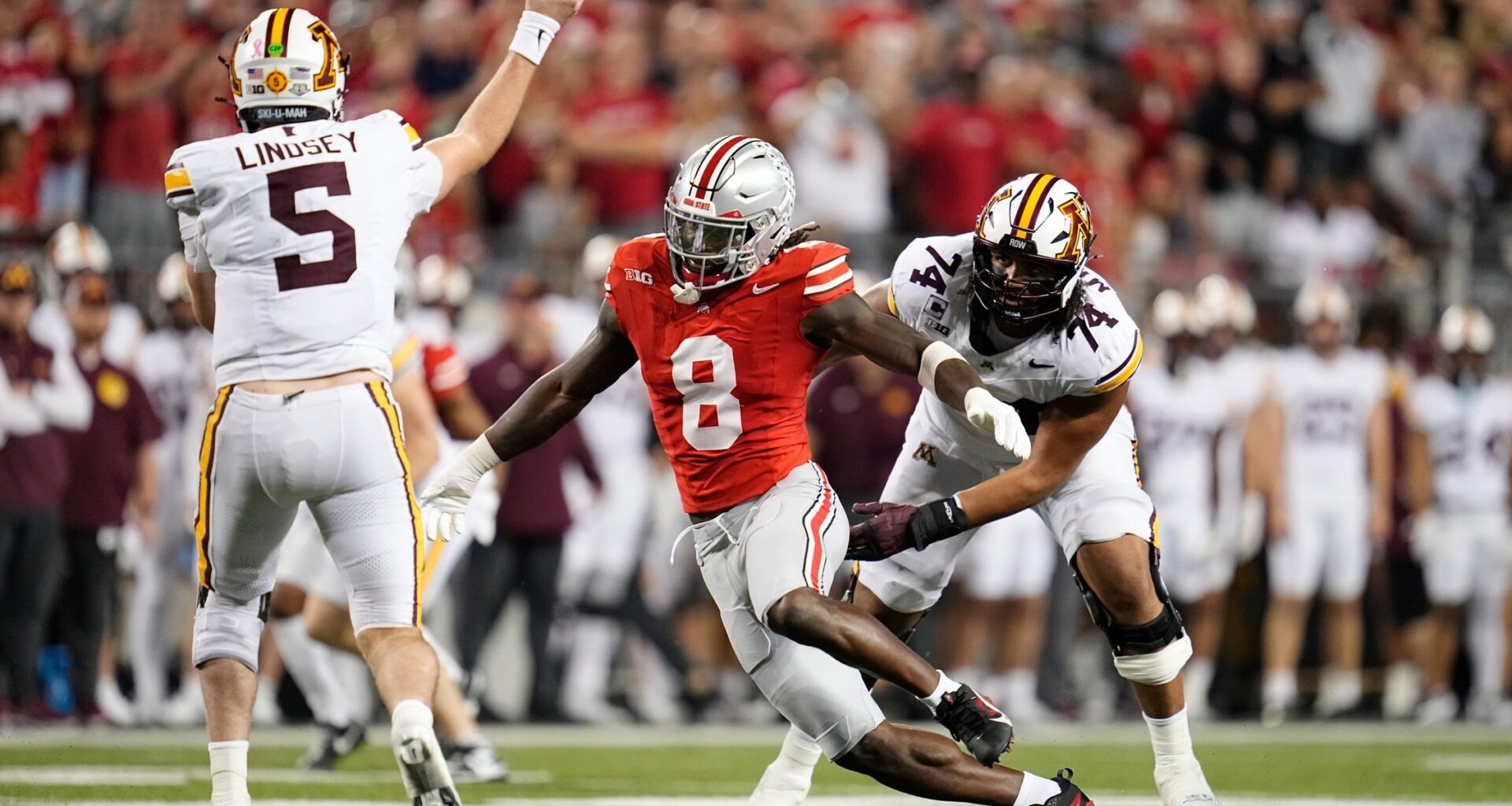 Arvell Reese 2026 NFL Draft Profile