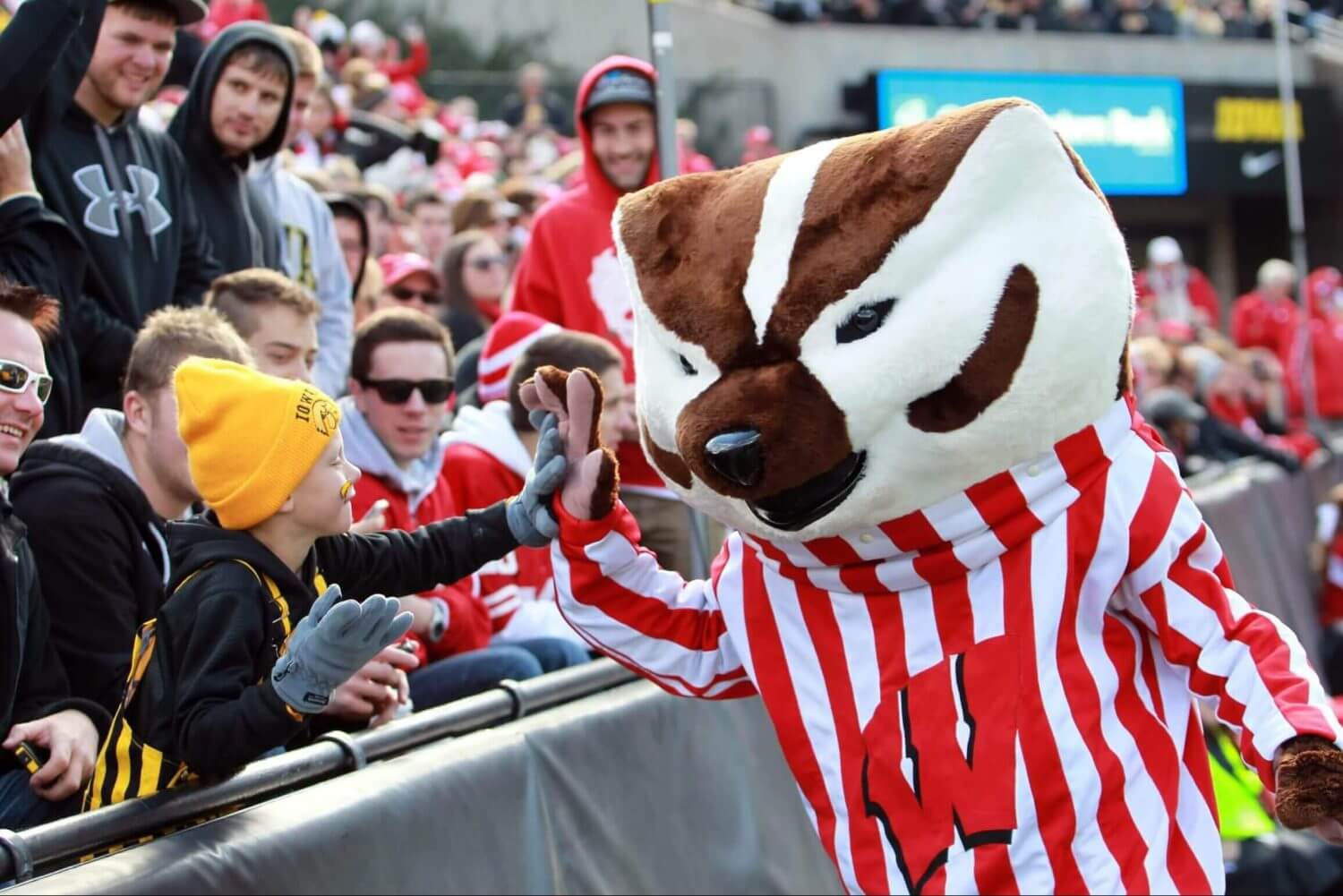 A young Iowa fan high-fives Wisconsin's plush Bucky Badger mascot in the stands during an Iowa-Wisconsin football game.