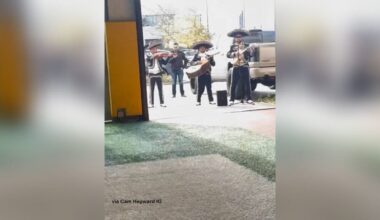 Watch: Cam Heyward Pranks T.J. Watt On His Birthday