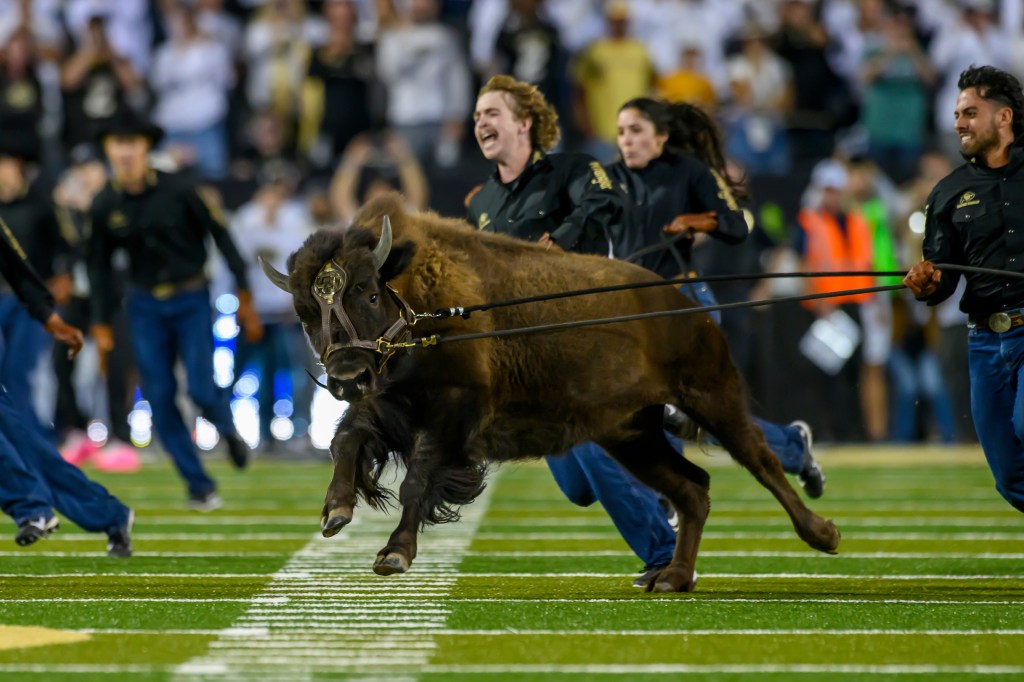 How Colorado’s new buffalo mascot is tied to a classic rock one-hit wonder – The Mercury News